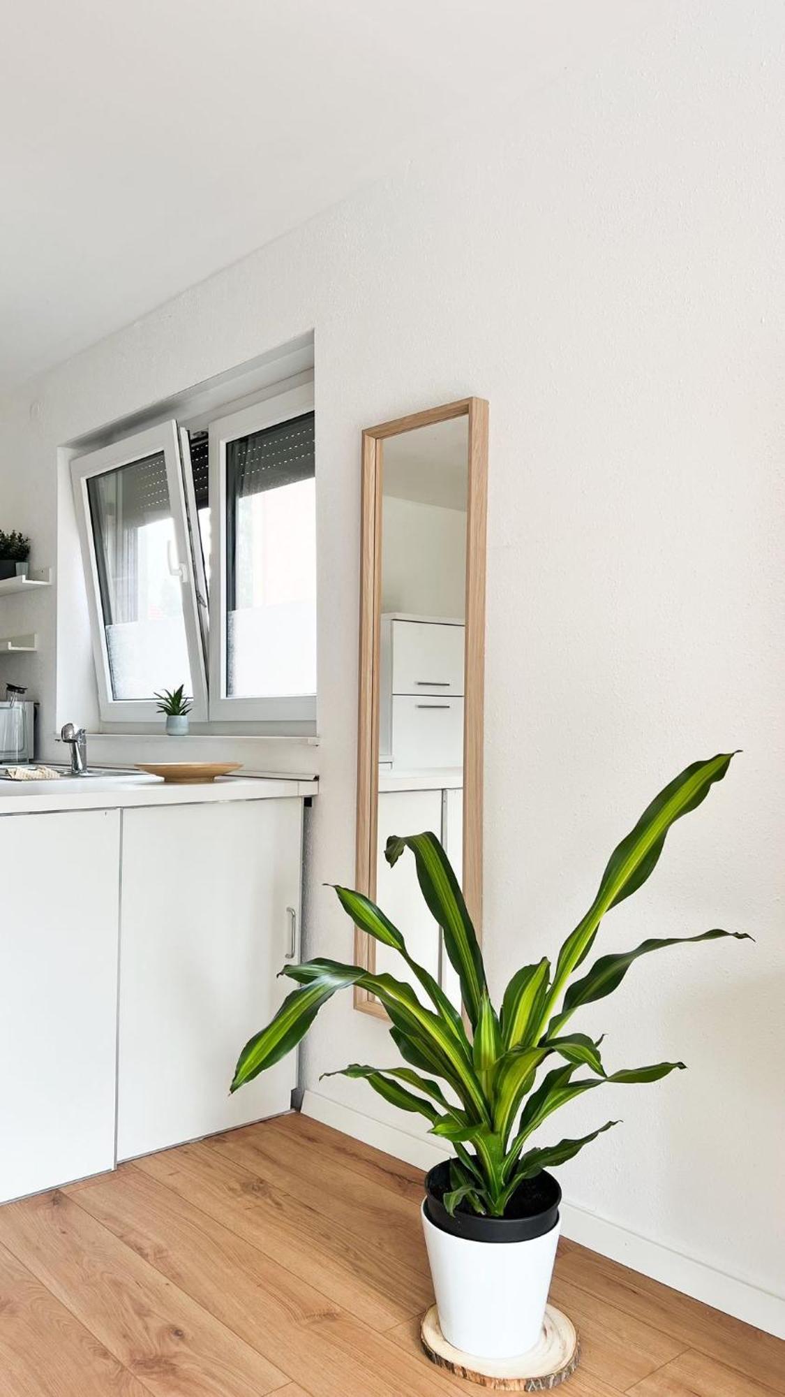2 Zkb Apartment In Mannheim Kueche - Parken - Grosser Tv Dış mekan fotoğraf